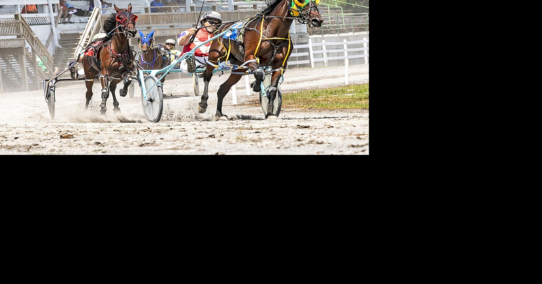 Hemlock Fair offers something for all ages Local News