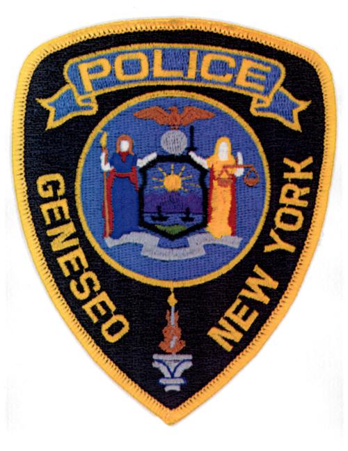 Geneseo Police Activity Report Police Thelcn Com
