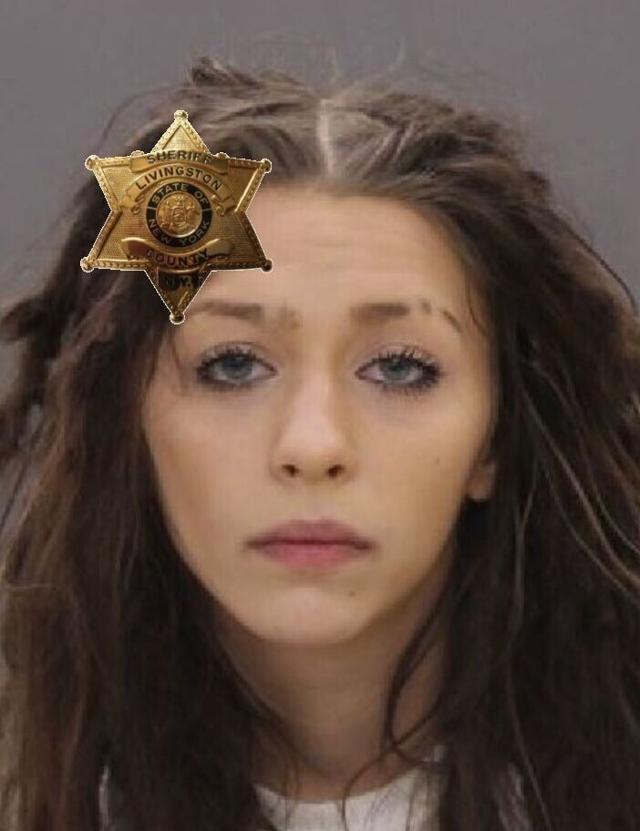 Sheriff's Office Woman threatened to blow up Dog Control News