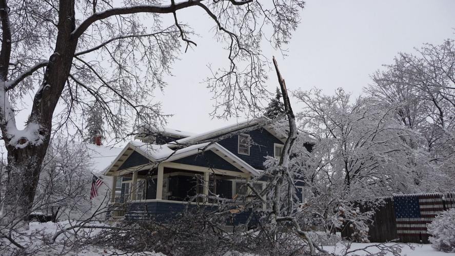 Dansville wracked by ice, snow Local News