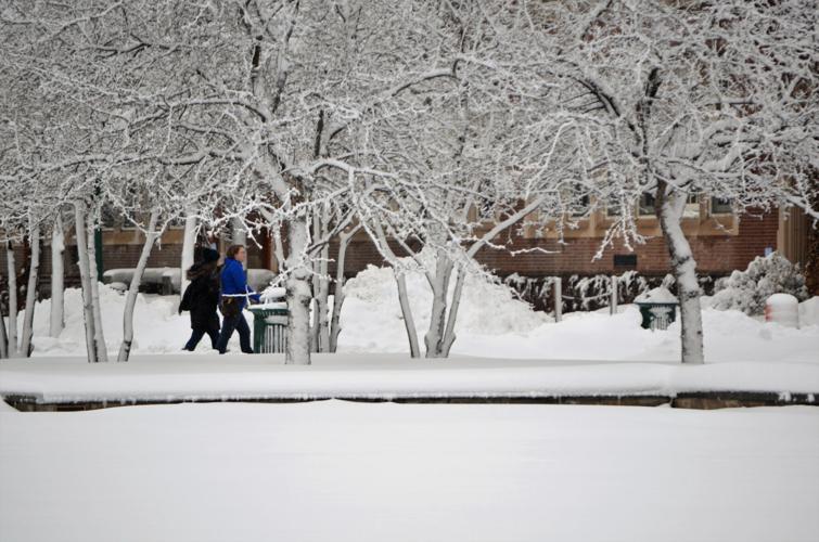 SUNY Geneseo ranks among America’s most beautiful campuses Local News