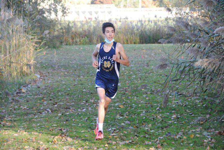 CROSS-COUNTRY: There was plenty of action on the running trails ...