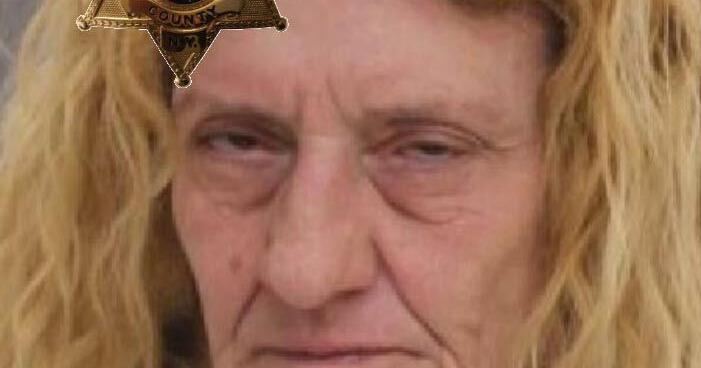 Traffic stop results in drug charge for Mount Morris woman | News ...
