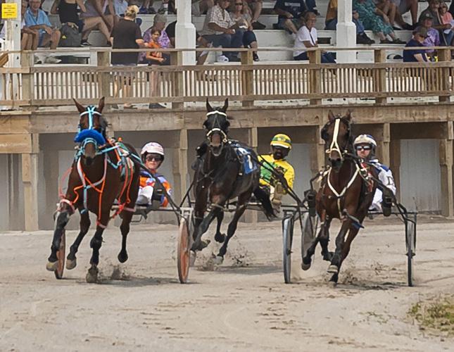 Hemlock Fair: Harness racing excites people of all ages | Entertainment ...