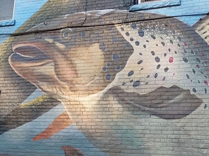 Trout mural inspires Caledonia festival Local News