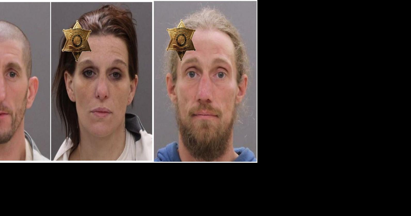 Traffic stop yields drug charges for 3 Dansville residents | Police ...