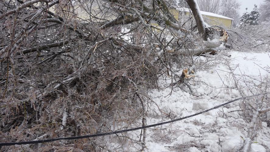 Dansville wracked by ice, snow Local News