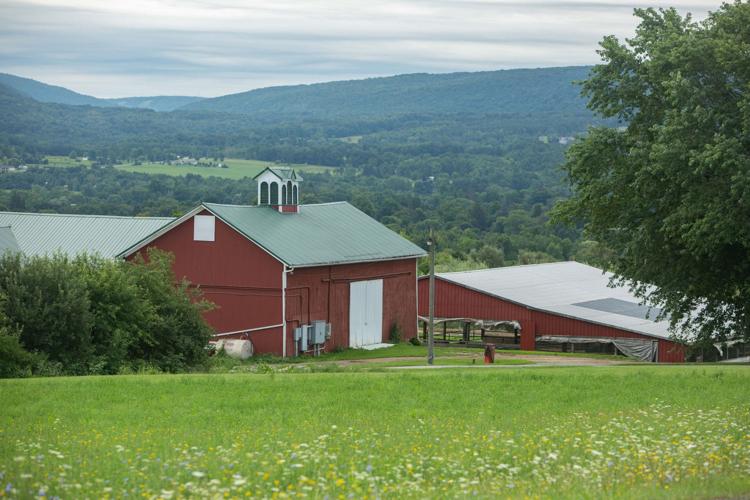 Farmland protection group adds 2,400 acres to portfolio Local News