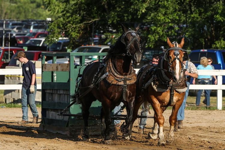 PHOTOS Hemlock Fair Local News