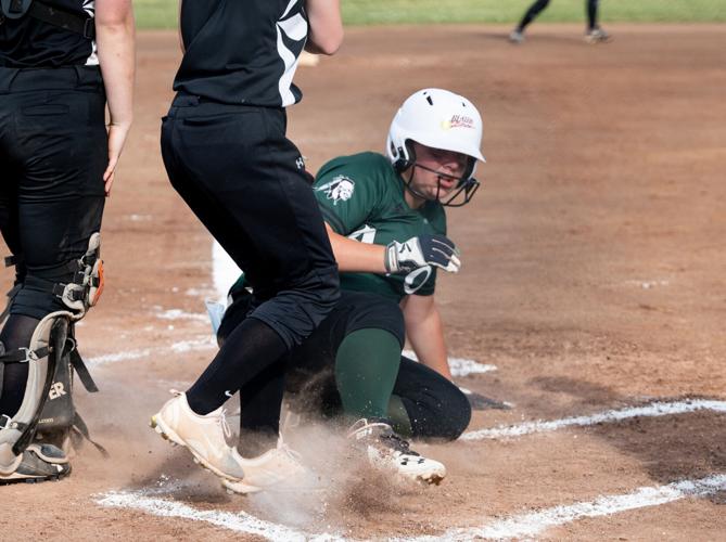 SECTION V SOFTBALL Avon, CalMum, York, Letchworth all advance into