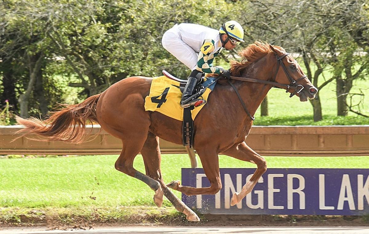 FINGER LAKES Rich 2YearOld Stakes Race Coming Monday at Finger Lakes