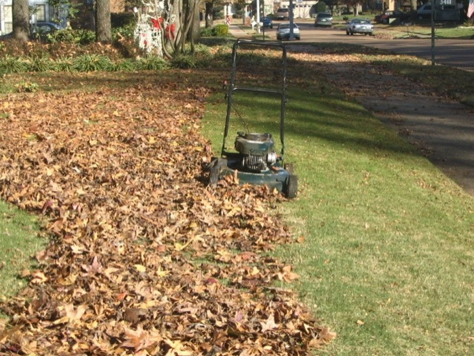 Use lawn mower 2025 to mulch leaves