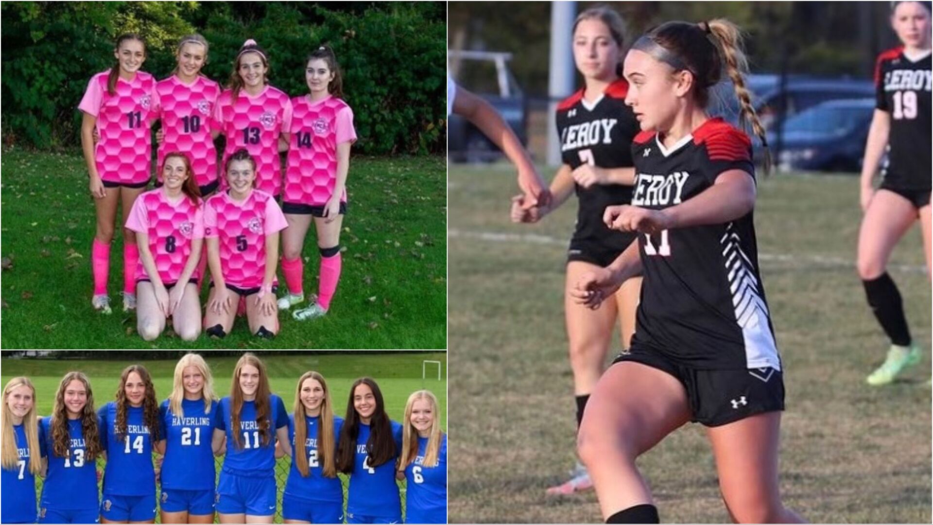 SECTION V GIRLS SOCCER: Looking Toward The Postseason Tournaments ...