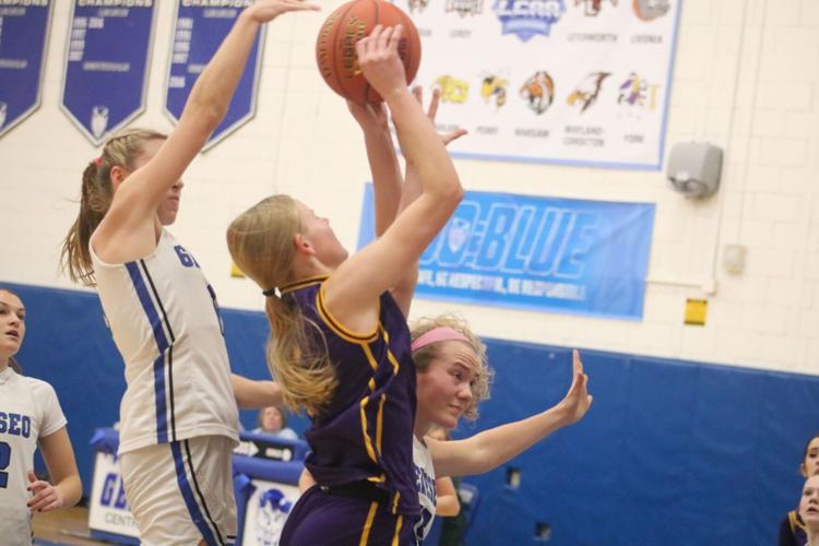 H.S. GIRLS BASKETBALL: Rodwell's double-double gives York win in battle ...