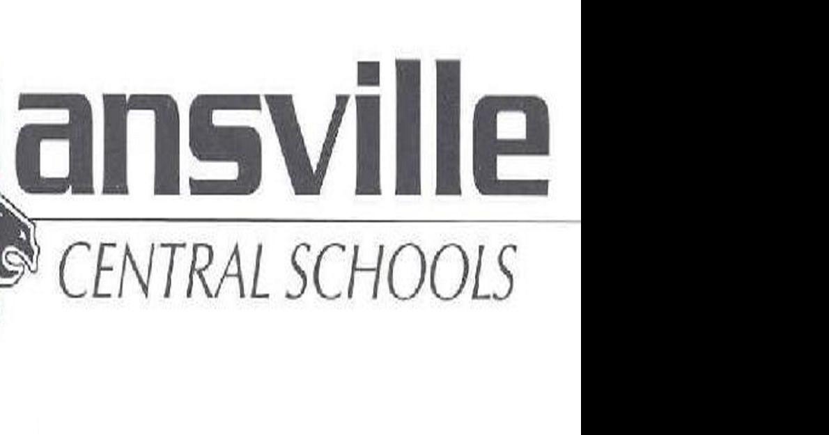 4 seek 2 seats on Dansville school board Local News