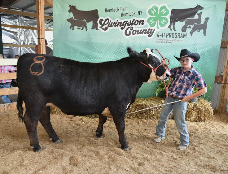 Livingston County 4H awards livestock scholarship Lifestyles