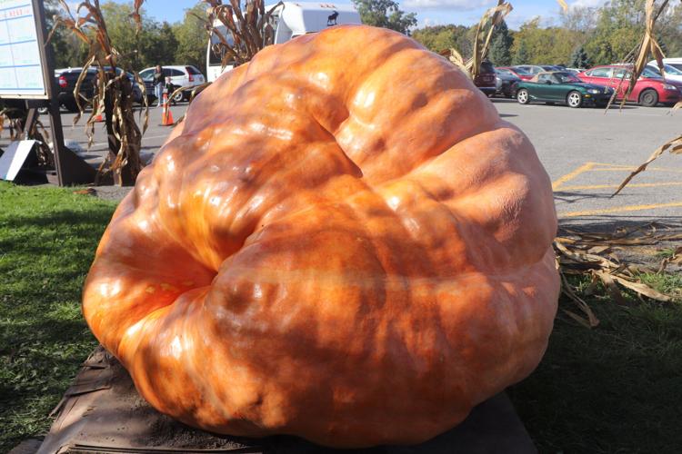 WATCH Lima celebrates great pumpkins and more News