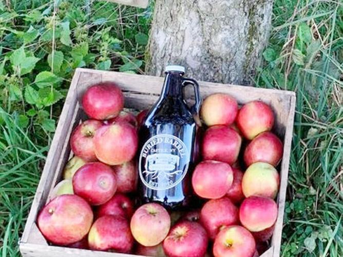 Area breweries, cideries sustaining popularity Local News