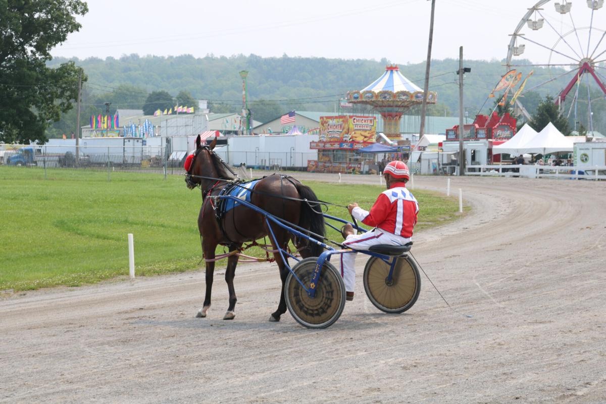 Hemlock Fair Harness racing excites people of all ages Entertainment