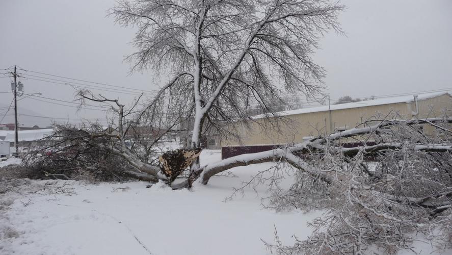 Dansville wracked by ice, snow Local News