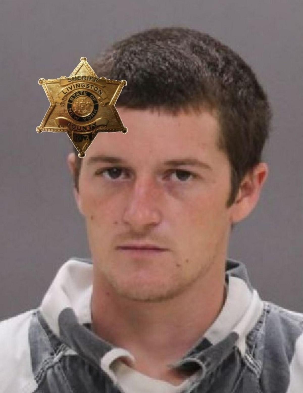 Domestic incident results in felony charges for Nunda man | Police ...