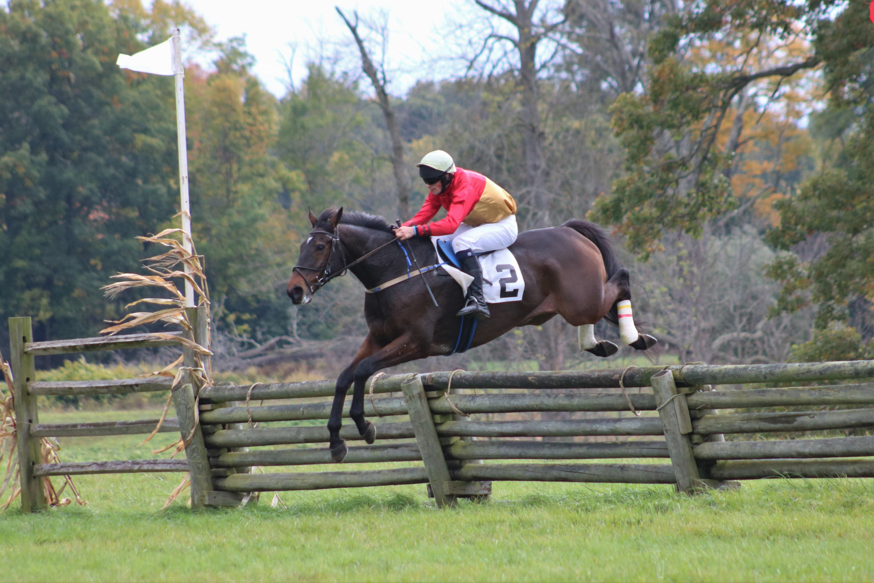 STEEPLE-CHASE IN GENESEE VALLEY HORSES RIDER FALLS 