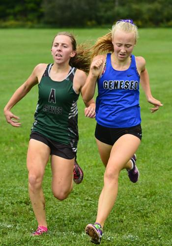 CROSS COUNTRY: Geneseo, Avon dominate Alexander meet | Sports | thelcn.com