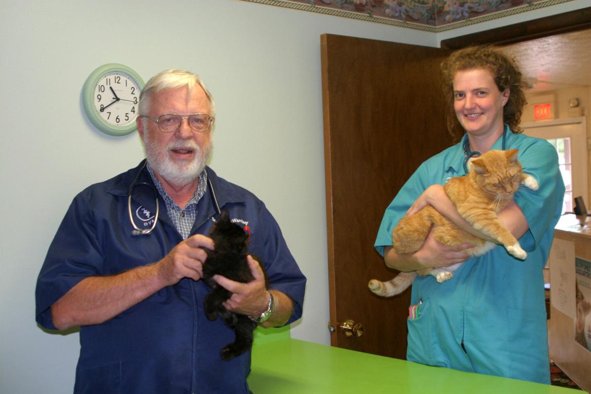 Too Many Cats Overpopulation An Ongoing Problem In Livingston County Voices Thelcn Com