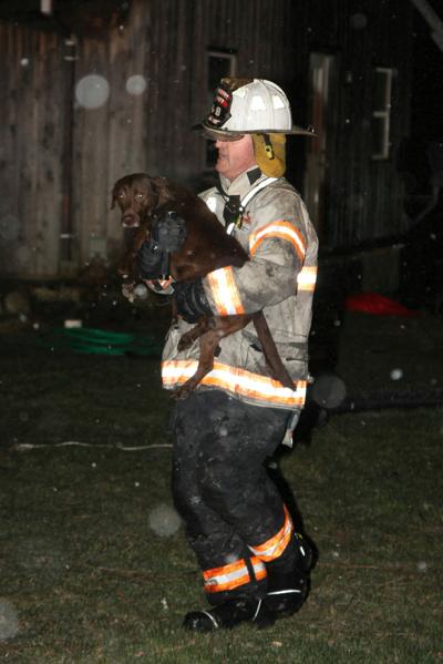Hero dog rescued after alerting family to fire | Local News | thelcn.com