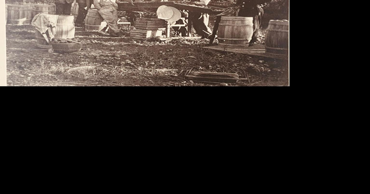 Local History: Area history: Apples were a powerhouse crop | Lifestyles ...