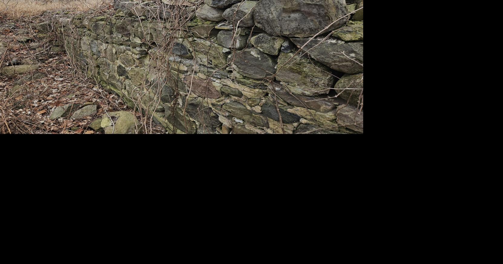 Down the trail: The future of Little Italy Nature Preserve includes learning, history and a place to get away