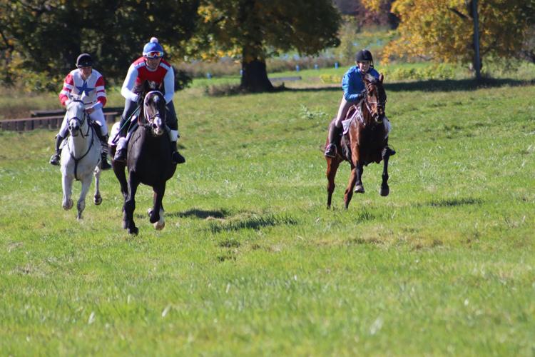 Thundering herds Genesee Valley Hunt Races excite crowds News