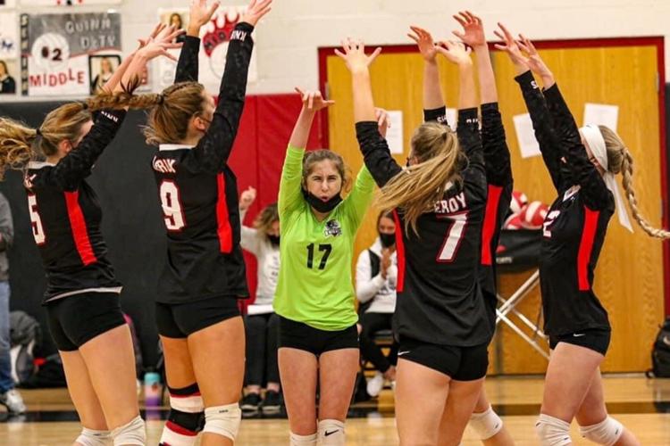 SECTION V VOLLEYBALL Attica, Le Roy, Letchworth, Warsaw, Alexander