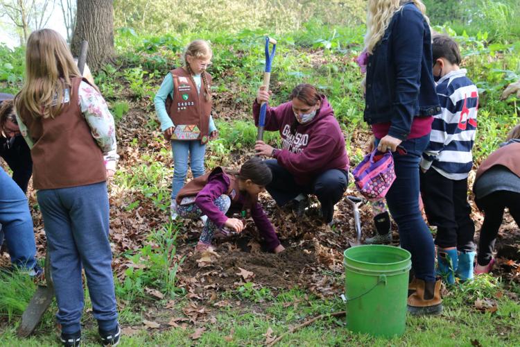 Tree Promise Girl Scouts Take Action Make Change By Planting Dogwoods In Dansville Local News Thelcn Com Tree Promise Girl Scouts Take Action Make Change By Planting Dogwoods In Dansville Local News Thelcn Com