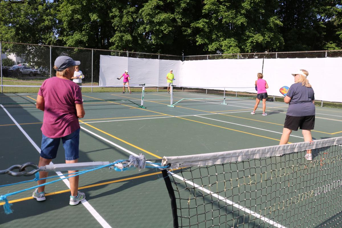 New game in town Pickleball gains popularity in Dansville Local News