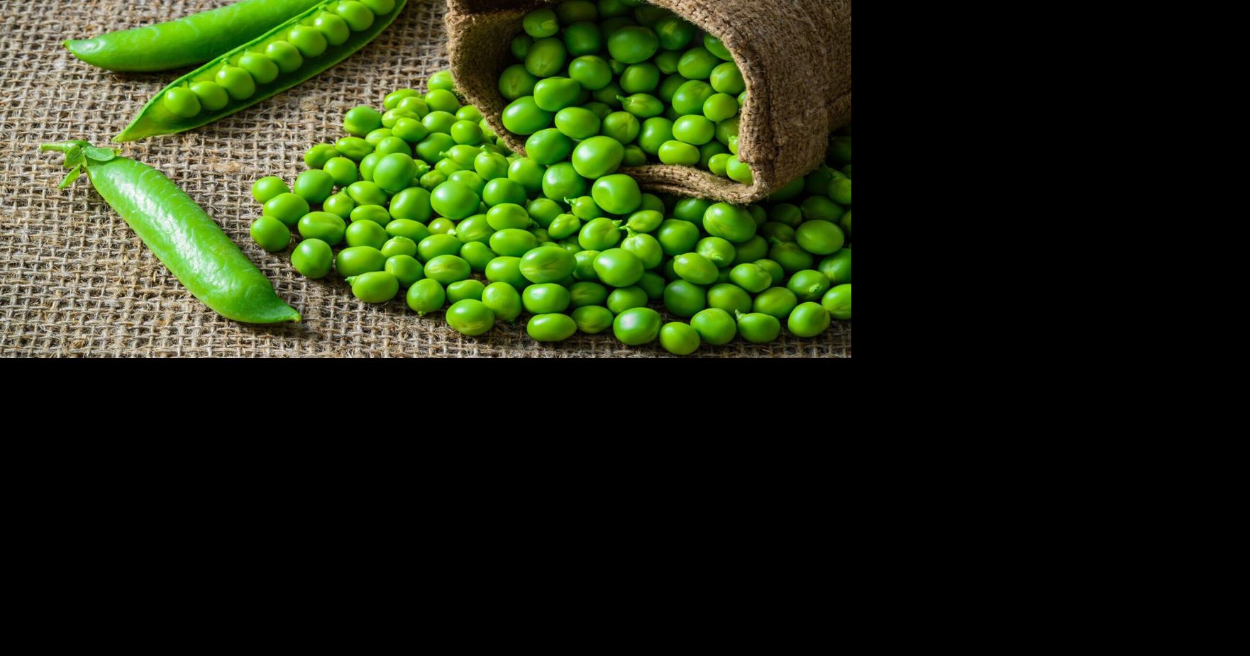 Snap, shell or snow, peas are a summertime staple | Lifestyles | thelcn.com
