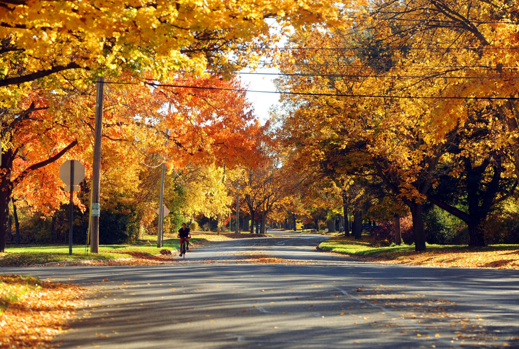 Fall colors fading: Foliage hitting past-peak conditions across region ...