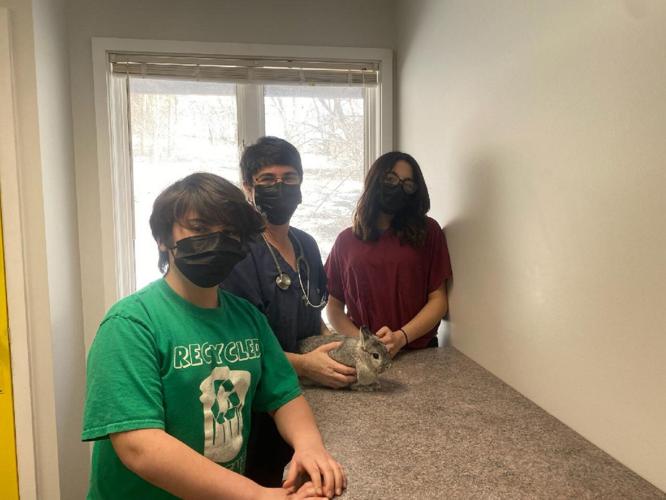 Mobile vet opening clinic in Geneseo Local News