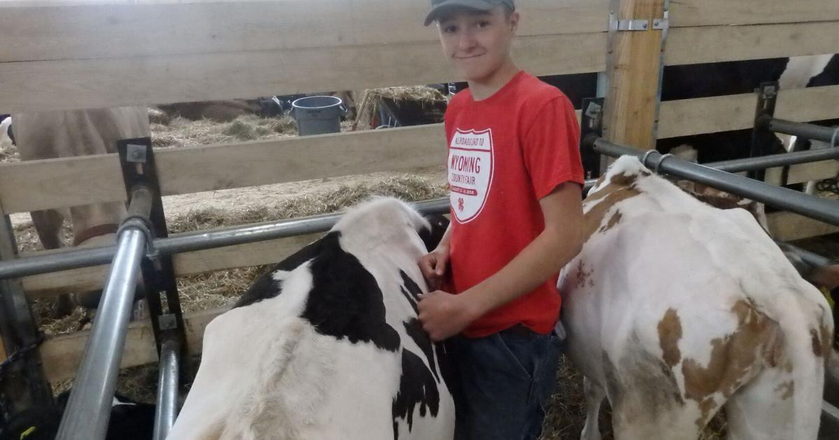 Wyoming County Fair: Rave reviews for new cattle barn | News | thelcn.com