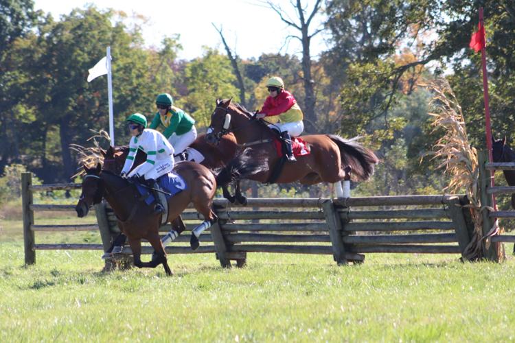 Thundering herds Genesee Valley Hunt Races excite crowds News