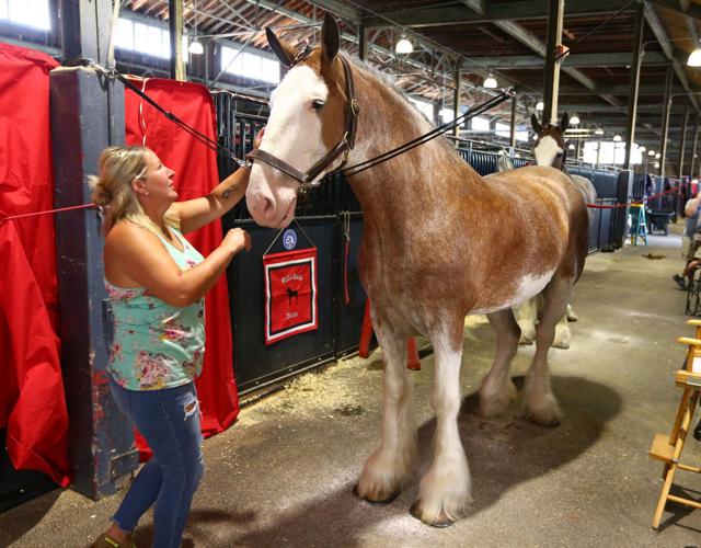 PHOTOS More from the State Fair News