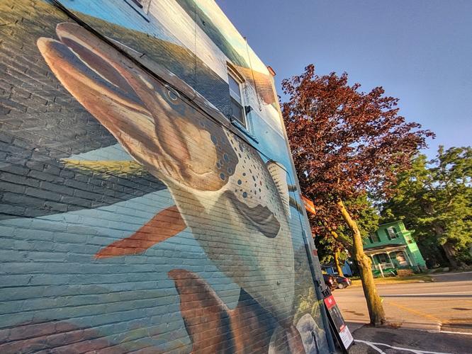 Trout mural inspires Caledonia festival Local News