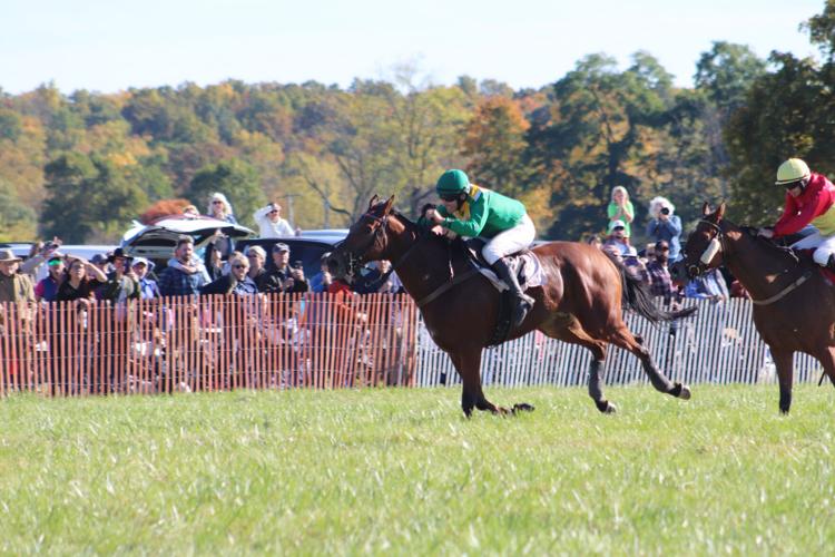 Thundering herds Genesee Valley Hunt Races excite crowds News