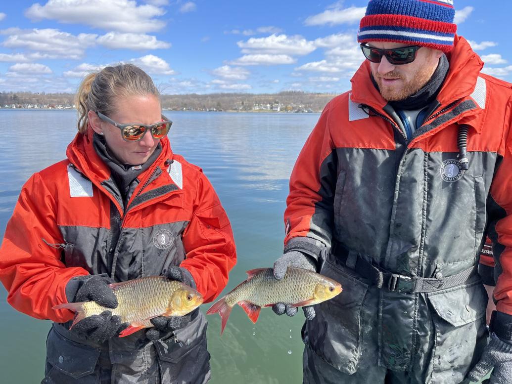 Biologists study rudd in Conesus Lake News