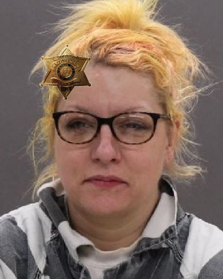 Traffic stop yields drug charges for Avon woman | News | thelcn.com