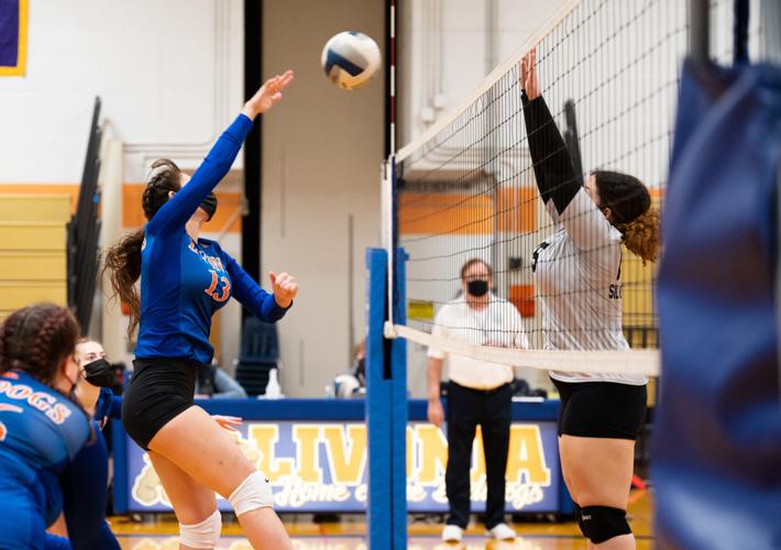 VOLLEYBALL ND, Attica, Alexander, BB, Holley and Livonia all