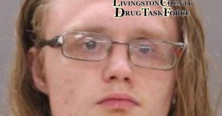 Dansville man facing multiple drug charges following Task Force ...