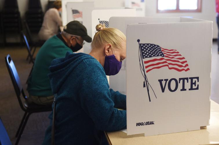 New York officials split on special ballot proposals Local News