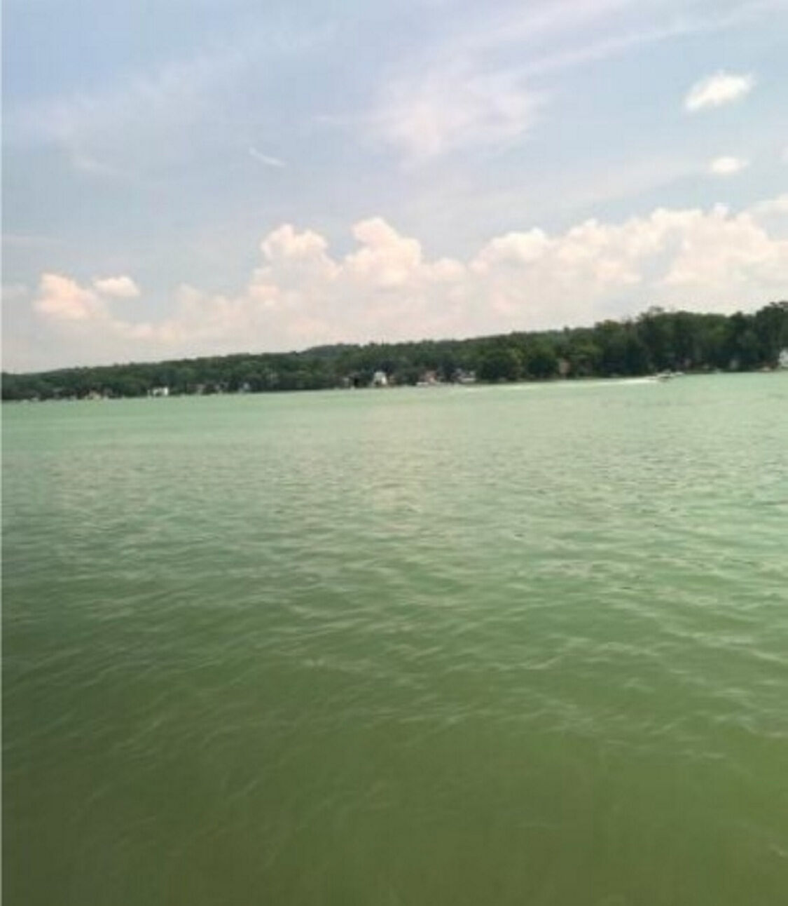 Harmful Algal Blooms Reported Throughout Conesus Lake | Local News ...