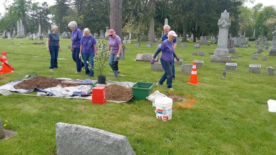 Geneseo Garden Club plants new trees in Temple Hill Cemetery Local